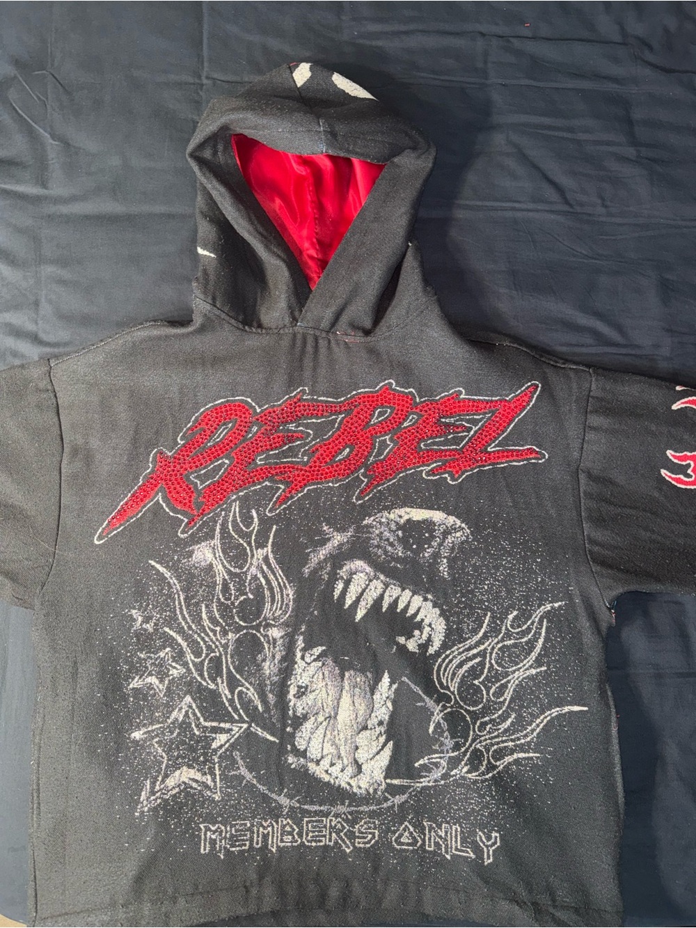 Men's Rebel Minds Doberman Hoodie